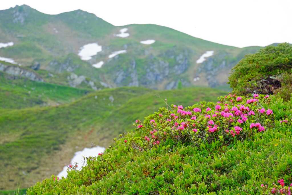 DSCF9876