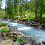 DSCF9952