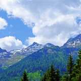 DSCF9956