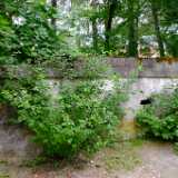 DSCF0067