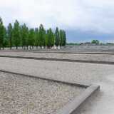 DSCF0073