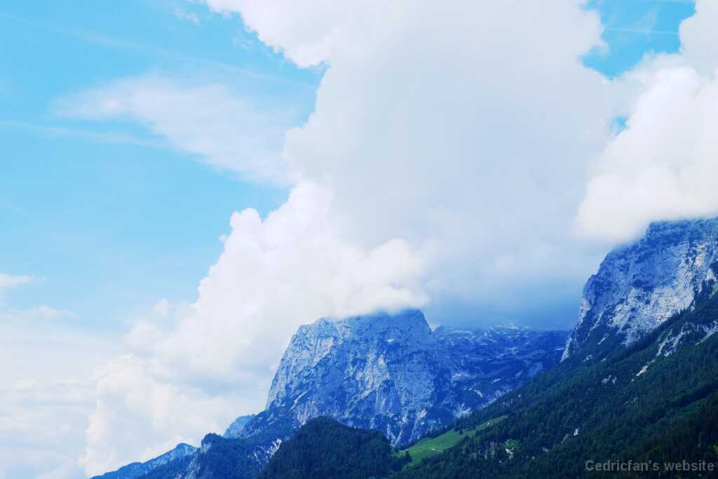 DSCF9538