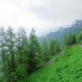 DSCF9601