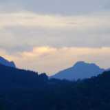DSCF9613