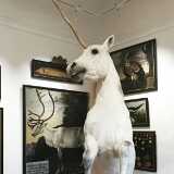 07_Hellbrunn