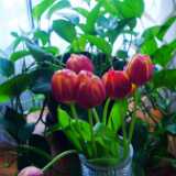 DSCF9070