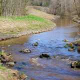 DSCF9294