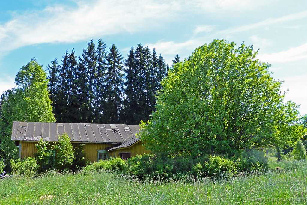 P1280977