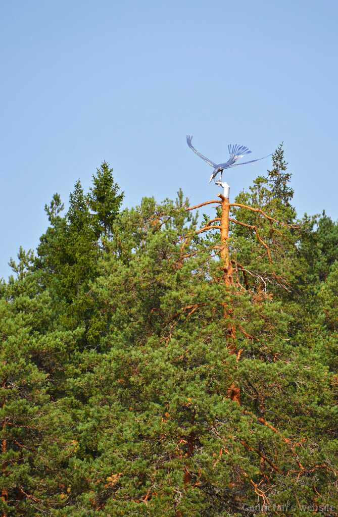 DSN_4771