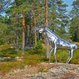 DSN_4793