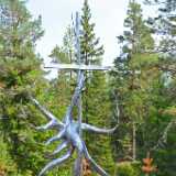 DSN_4799