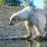 DSN_4591