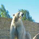 DSN_4597