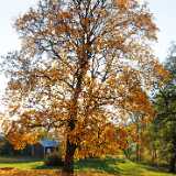 DSCF1501