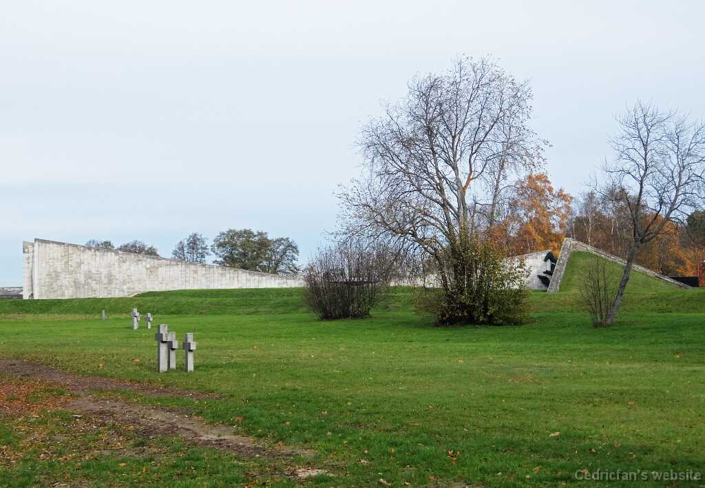 DSCF1568