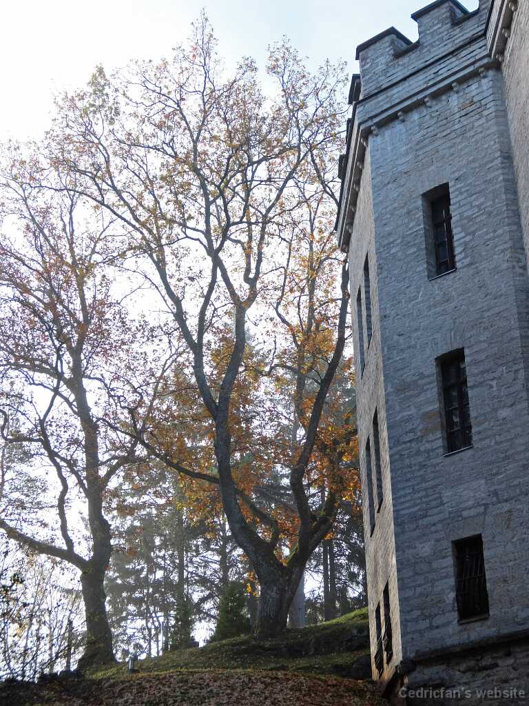 DSCF1628