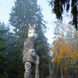 DSCF1618
