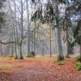 DSCF1622