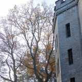DSCF1628