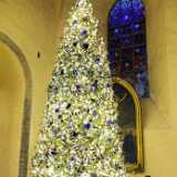 DSCF1750
