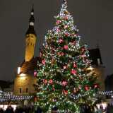 DSCF1778