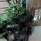DSCF1674