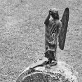 IMG_20190614_173236bw