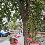 IMG_20190813_174029