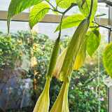 IMG_20190828_075818