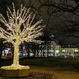 IMG_20191111_173855