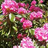 IMG_20190531_153356