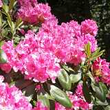 IMG_20190531_153409