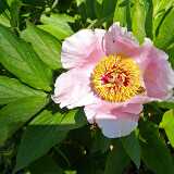 IMG_20190531_153602
