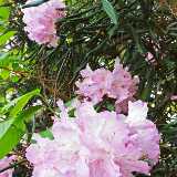 IMG_20190531_153745