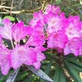 IMG_20190531_153823