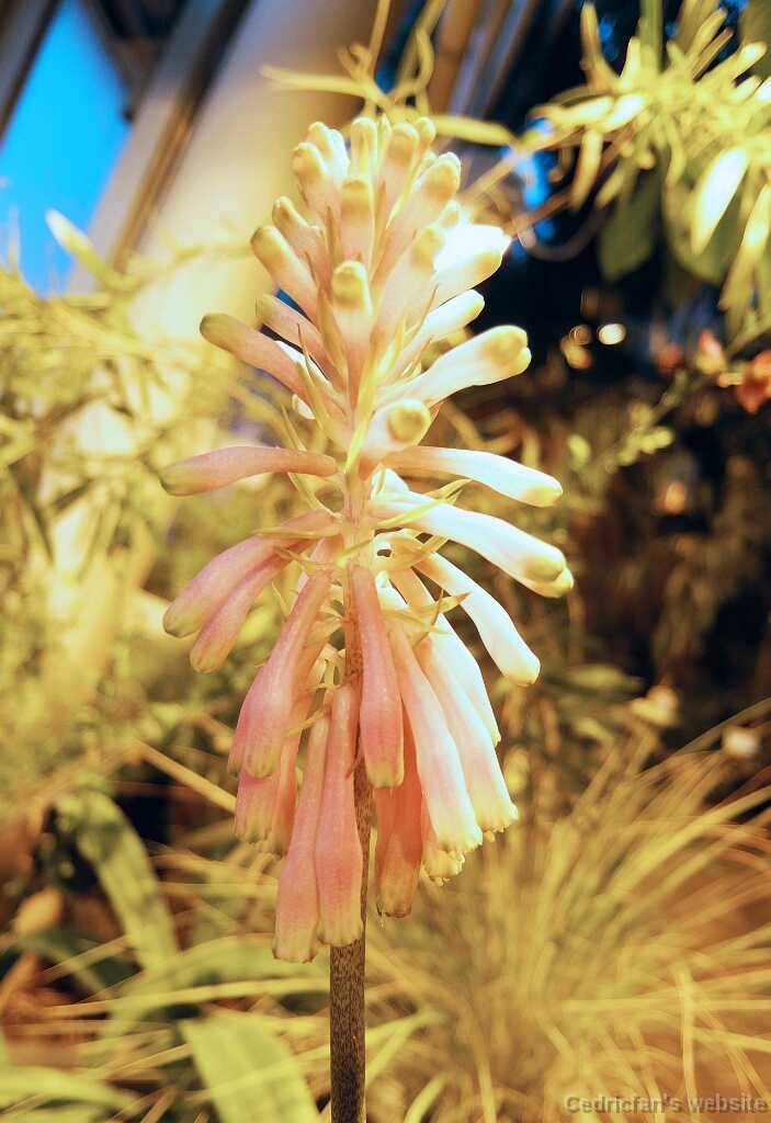 DSCF1830