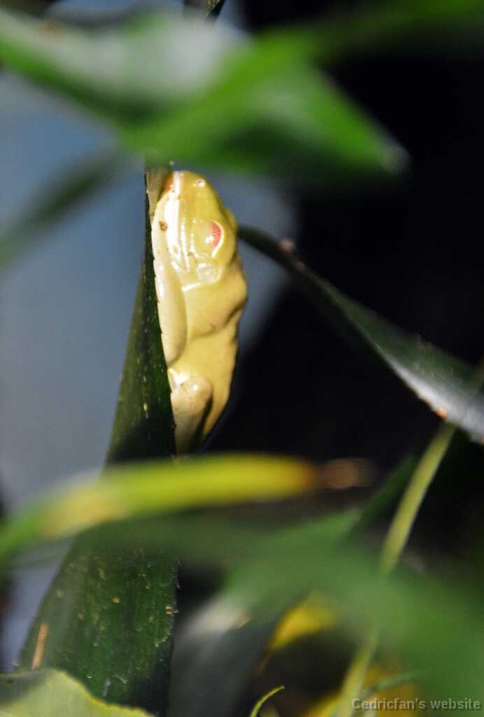 DSN_6244