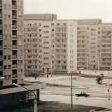 DSCF2065