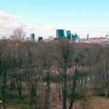DSCF2071