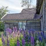 IMG_20190618_174105