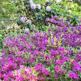 IMG_20190609_153102