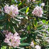 IMG_20190609_153252