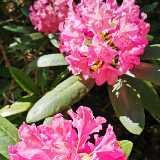 IMG_20190609_153458
