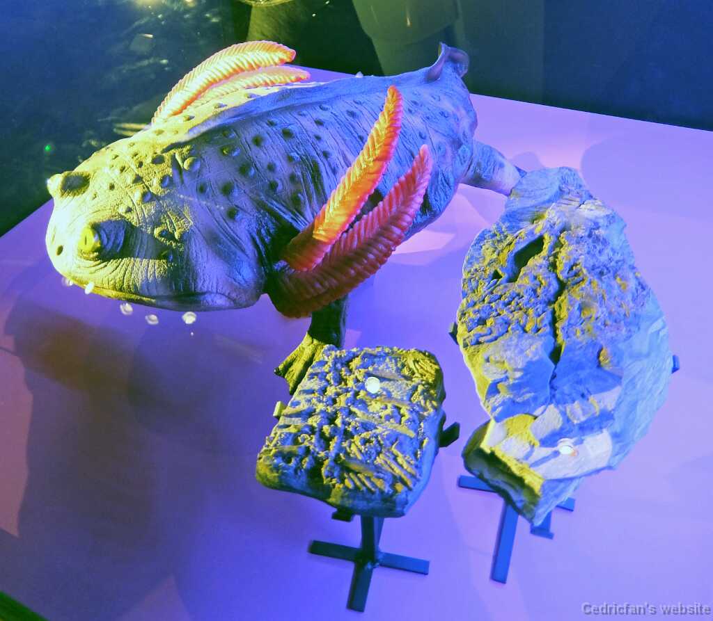 DSCF2269