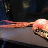 DSCF2165