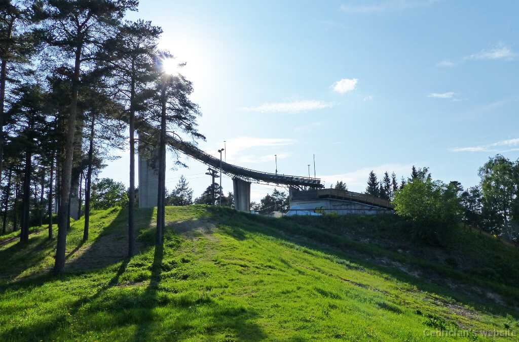 P1290203