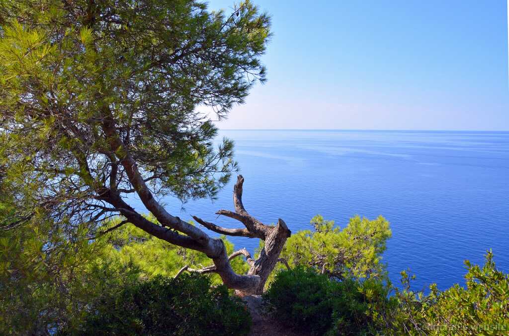 DSN_7396