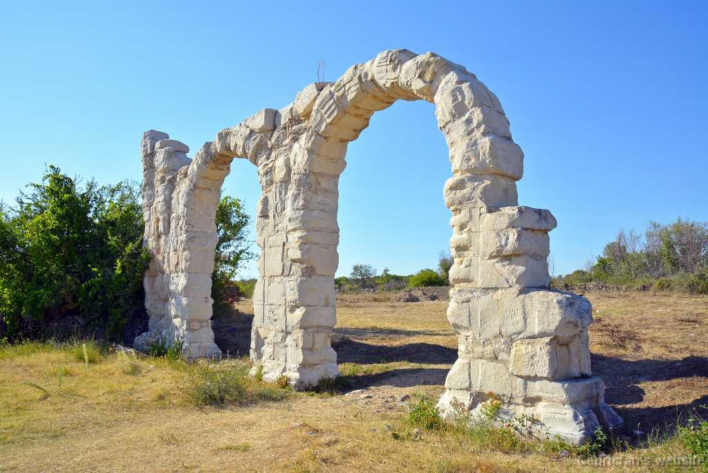 DSN_7226