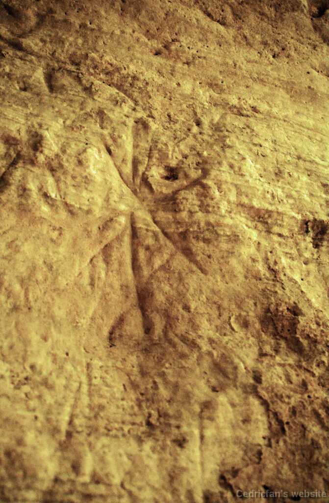 DSN_7240