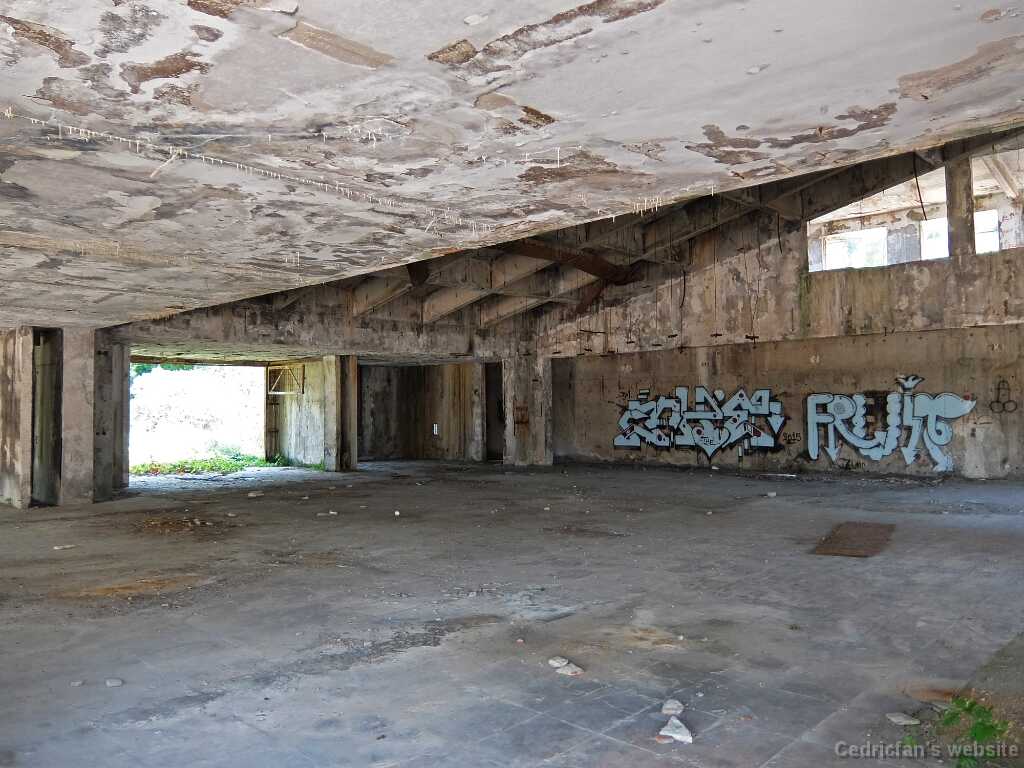 DSCF2395
